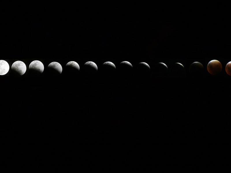 Wild City Singled Out: January 2017