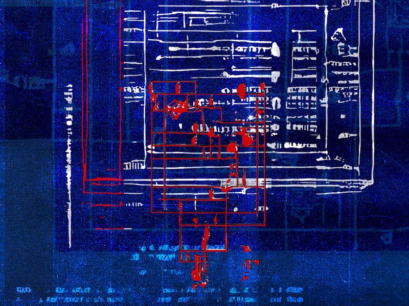 Wild City Singled Out: October 2019