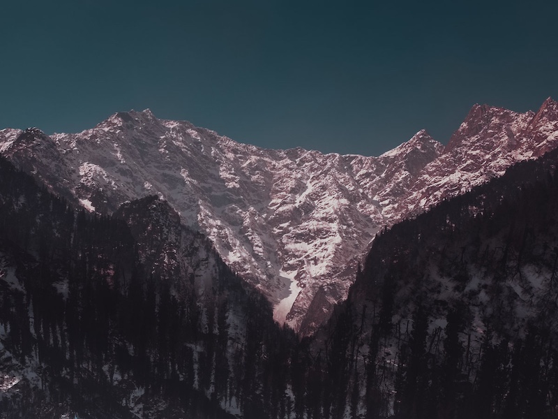 Wild City Singled Out: February 2021