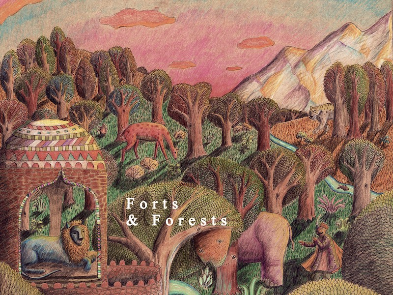 Wild City Singled Out: Q1 2024