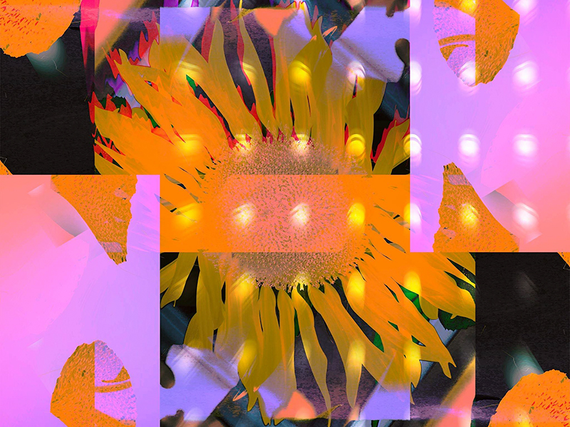 Wild City Singled Out: June 2018