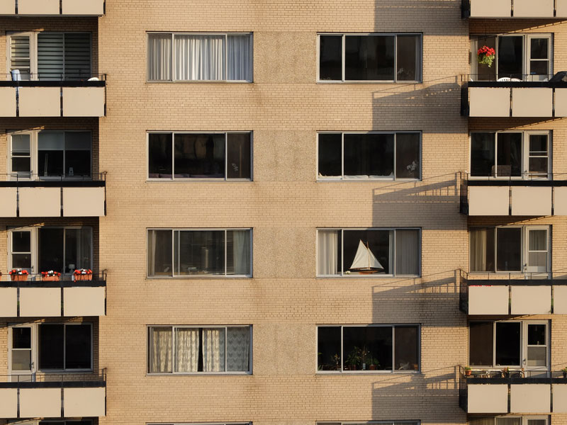 Wild City Singled Out: June 2017